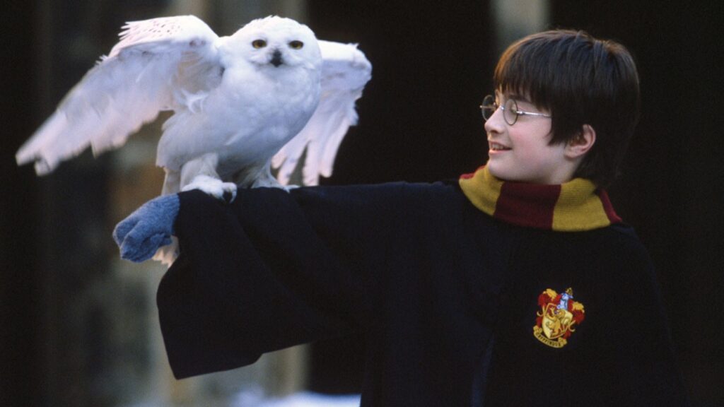 Imagem: Harry Potter e a Pedra Filosofal - (Reprodução/Warner Bros. Discovery).