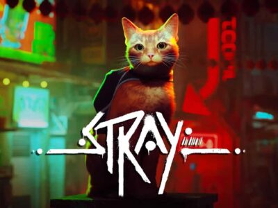 stray