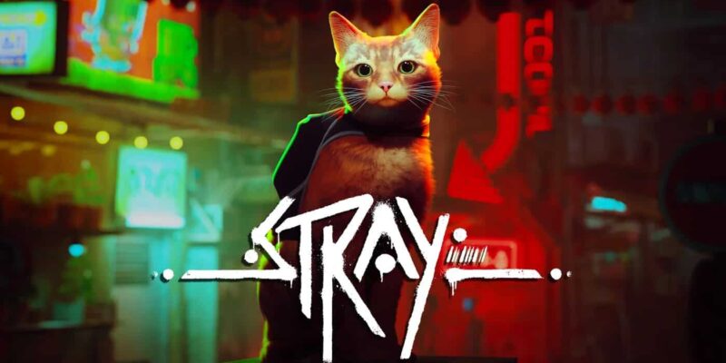 stray