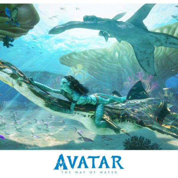 Avatar 2 ganha 6 clipes e Avatar 4 começa gravações