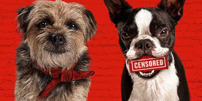 Universal STRAYS EN HomeMainCarousel 1920x1025