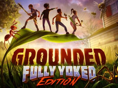 grounded review