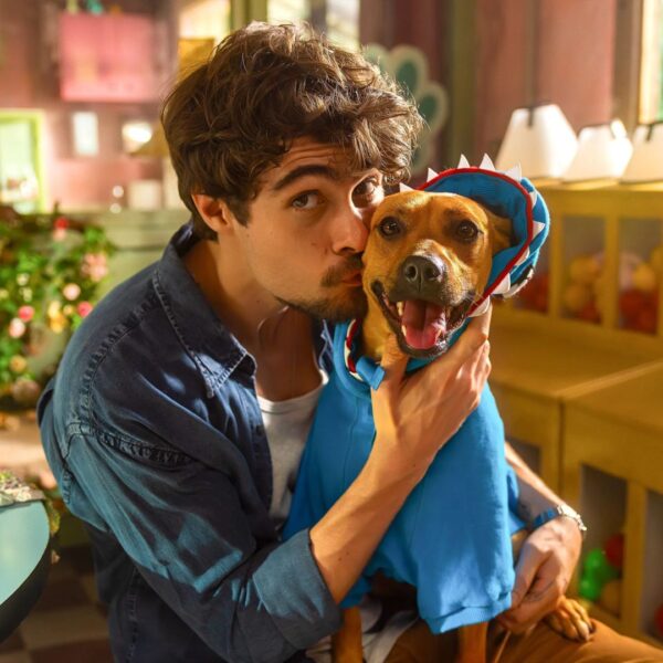 Quando estreia Caramelo filme com vira lata simbolo do Brasil no streaming