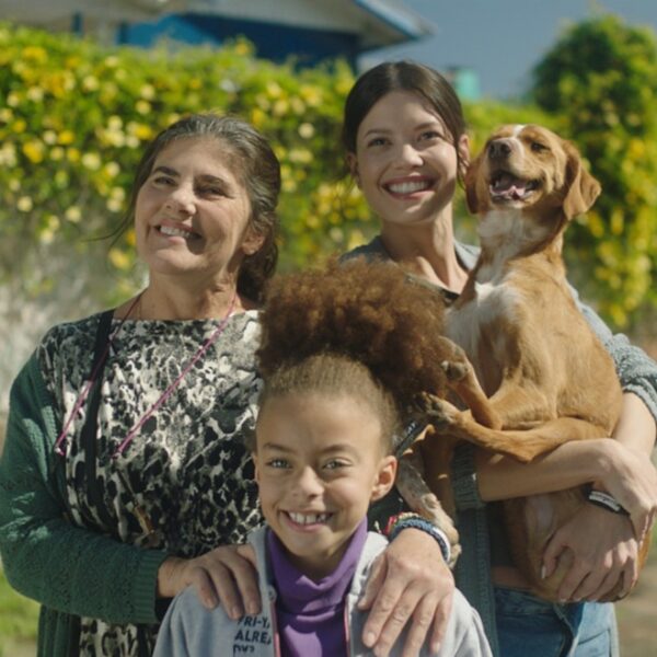 caju meu amigo 1024x659 1