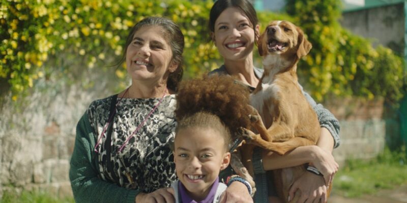 caju meu amigo 1024x659 1